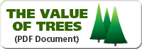 The value of tree service